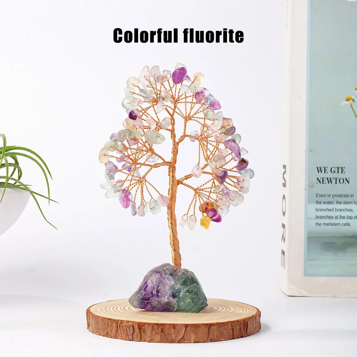 Feng Shui Tree