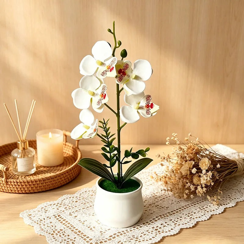 Faux Butterfly Orchid