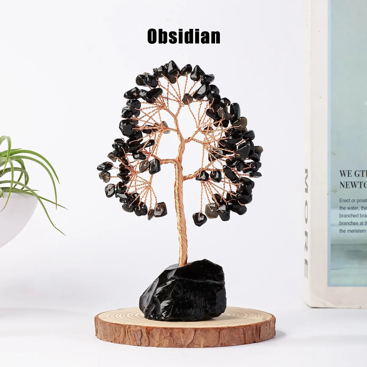 Feng Shui Tree