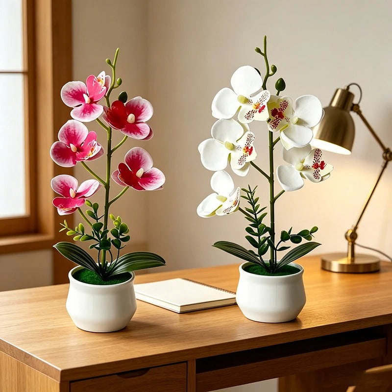 Faux Butterfly Orchid