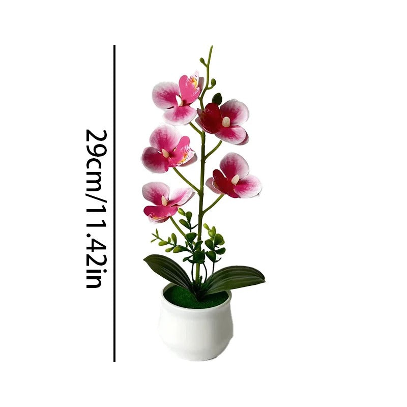Faux Butterfly Orchid
