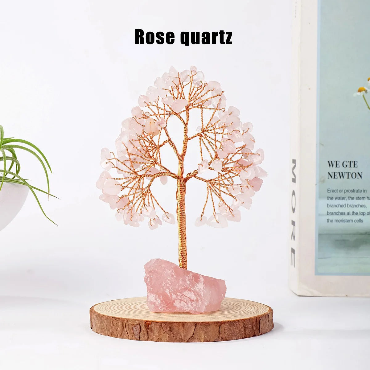 Feng Shui Tree