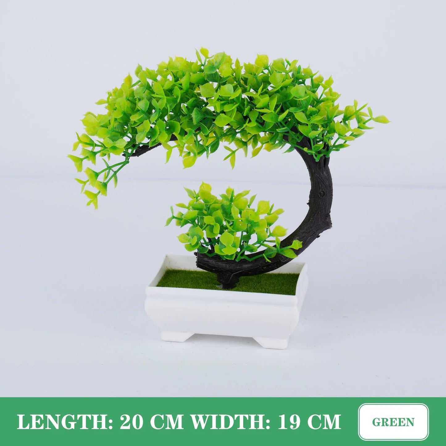 Tranquil Bonsai