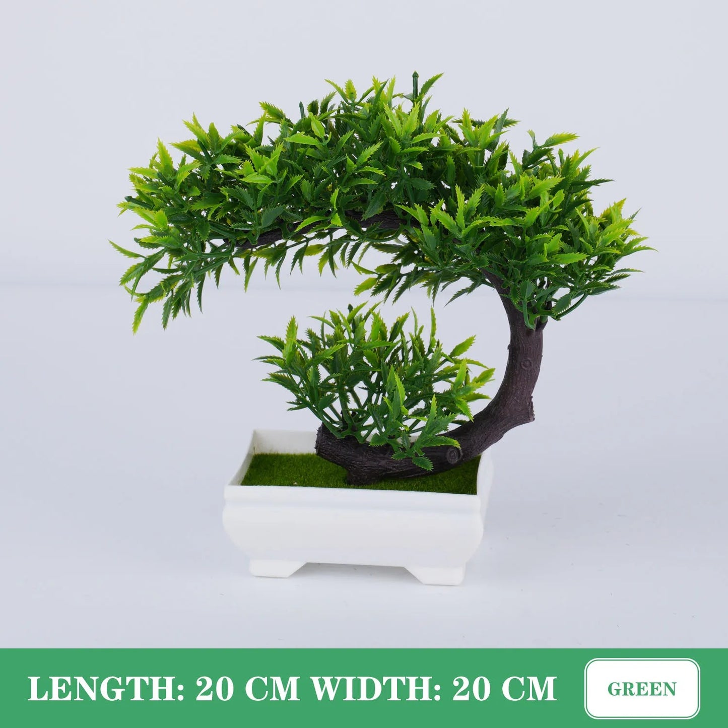 Tranquil Bonsai