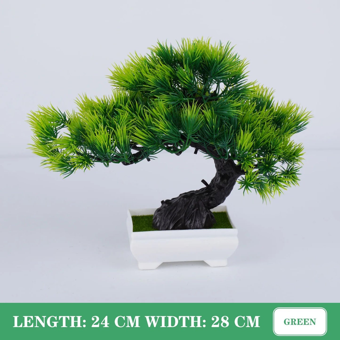 Tranquil Bonsai